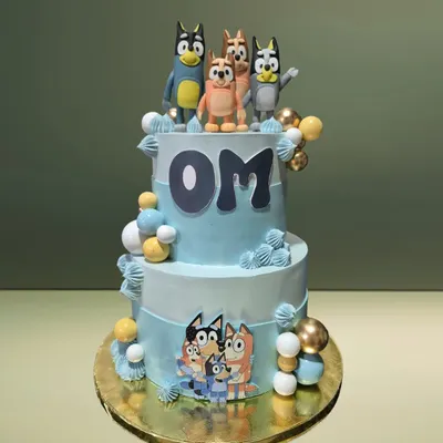 A two-tiered cake celebrating the popular cartoon Bluey and her family. The cake features edible images and handcrafted fondant figures of the characters, perfect for a young fan's birthday.