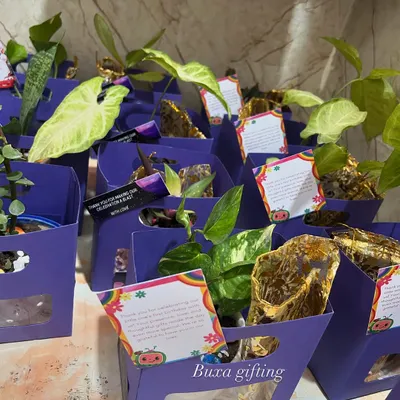 Sustainable gifting can be affordable! These lavender-themed hampers feature a ceramic planter and a potli of dry fruits, making a big impact on a small budget.