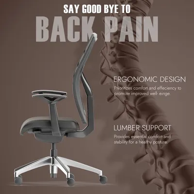Say goodbye to back pain with a chair that is designed for your spine's health. This image highlights the ergonomic design and crucial lumbar support that promotes a healthy posture during long work hours.
