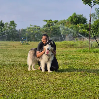 A happy owner and her beautiful Alaskan Malamute enjoying our spacious, sprinkler-cooled lawns. This is what true enrichment looks like.