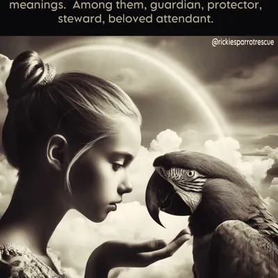 The Hawaiian principle of 'Kahu' perfectly describes my relationship with dogs. As their guardian, I am committed to protecting and cherishing them. They are not property, but a piece of my soul, and their wellbeing always comes first.