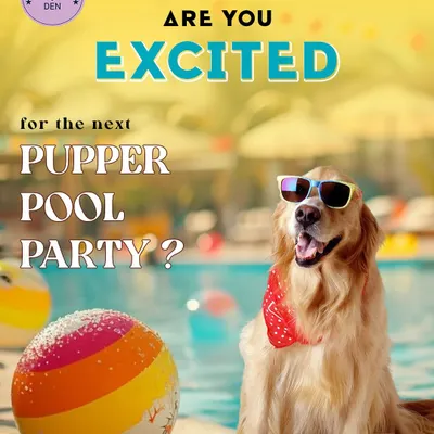 Are you ready for the next big splash? We're always planning our next Pupper Pool Party, and it's an event your dog won't want to miss.