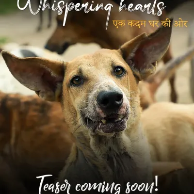 This is the face of hope. This poster for our documentary, 'Whispering Hearts', features a resilient shelter dog whose eyes tell a story of survival and the longing for a home. Our film aims to give a voice to these incredible animals.