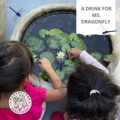 Our little explorers get up close with nature, like these two discovering the mini-ecosystem in our water lily pond. We encourage this curiosity, which is fundamental to our nature-based learning approach.