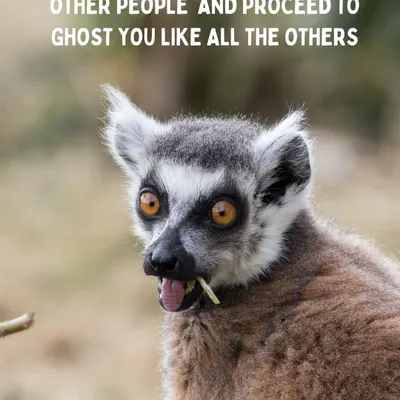 We've all been there. They say they're different, and then they disappear just like all the others. The modern dating experience can be wild.