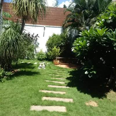 This simple and elegant pathway uses rectangular stone pavers set into the lawn. It creates a natural-looking walkway that guides you through the garden.
