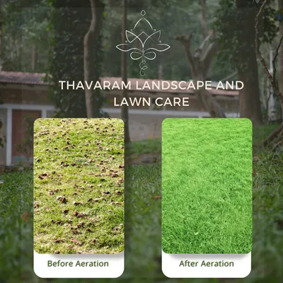 This image clearly shows the benefit of lawn aeration. The "before" side is compacted and patchy, while the "after" side is lush, green, and healthy because the soil can now properly absorb water, air, and nutrients.