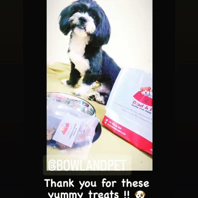 Look at this handsome boy posing with his yummy treats. We love getting photos from our customers and seeing how much your pets enjoy our all-natural snacks. Thank you for sharing this happy moment.
