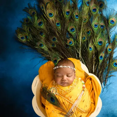 An overhead view of a newborn in a Krishna-themed setup, resting in a basket with a backdrop of fanned peacock feathers. The vibrant yellow wrap and blue background create a striking image.