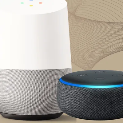 A Google Home and an Amazon Echo Dot are shown side-by-side, representing the two leading voice assistant platforms. My systems are compatible with both, offering you flexibility in how you control your home.