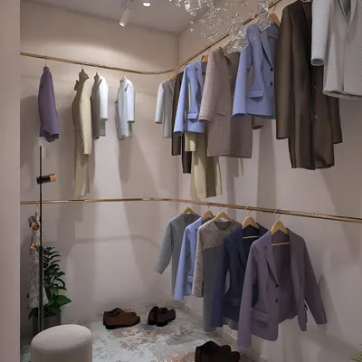 A concept for a minimalist walk-in closet. The design uses open brass rails for hanging clothes, creating a boutique-like feel. A sculptural chandelier adds a touch of artistic flair.
