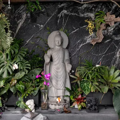 A tranquil corner in the 'Sun Room' project. A stone Buddha statue is surrounded by lush tropical foliage like Monstera and Philodendron, with mounted orchids and ferns against a black marble wall, creating a space for peace.