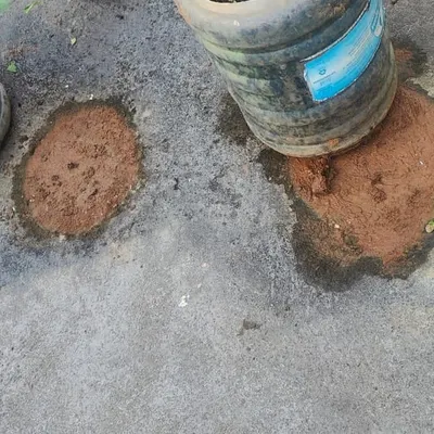 This is the kind of permanent damage that can happen when pots are left directly on a concrete floor. The moisture and minerals from the soil create stubborn stains that are difficult to remove.