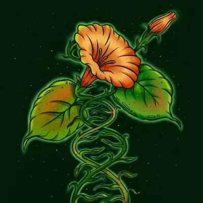 A spot illustration created for The New York Times to accompany the main article on sociogenomics. This image uses the visual metaphor of a DNA helix formed by a flowering vine to simply and elegantly represent the fusion of nature and nurture.
