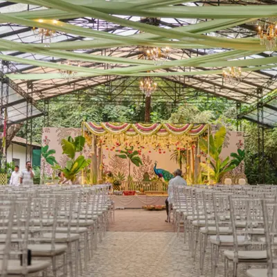 We designed this stunning South Indian wedding mandap in a glasshouse, blending the lush green outdoors with traditional decor. The custom-painted backdrop featuring a majestic peacock and tropical foliage created a vibrant yet sacred atmosphere for the ceremony.