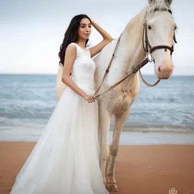 A high-concept beach photoshoot featuring a model in a white wedding gown with a majestic white horse. This shot combines fashion, nature, and a touch of fantasy for a truly unique and memorable image.