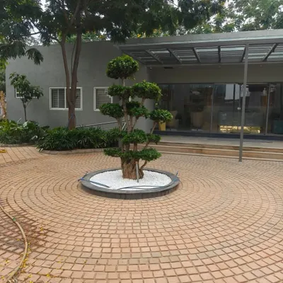 A circular patio paved with cobblestones, featuring a specimen bonsai tree in a central planter. This intricate stonework demonstrates my team's skill in creating detailed hardscape features.