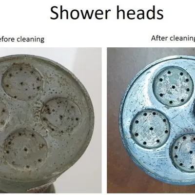 A clear before and after comparison of a cleaned shower head. This simple fix can dramatically improve water flow and is an easy home maintenance task that kids can learn to do themselves.