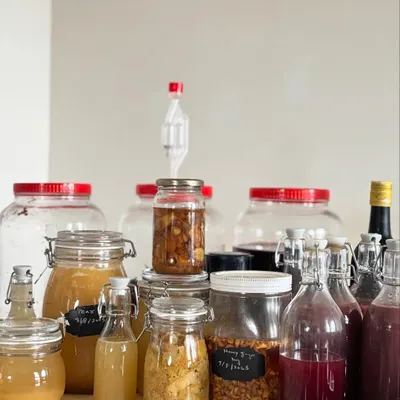 A collection of our various ferments, bubbling away in glass jars. From honey-ginger to seasonal fruits, each jar is a living brew, full of natural probiotics and gut-friendly goodness.