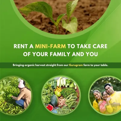Our 'Rent a Mini Farm' program is designed for you and your family. From a tiny sapling to a full harvest, we empower you to grow your own organic food and ensure the best for your loved ones.