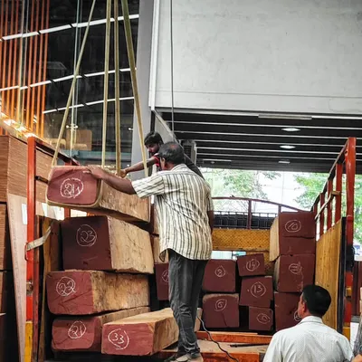 Our fresh stock of Burma Teak logs arriving at the timber yard. We handle large quantities to ensure a ready supply for projects of any scale, from individual homes to large developments.