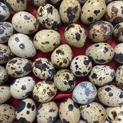 Quail eggs are a fantastic whole food supplement. These tiny eggs are nutritional powerhouses, packed with vitamins and minerals. I source them fresh to be used as a meal topper or a healthy treat.