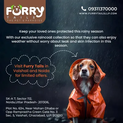 Keep your dog protected and dry during the rainy season with our exclusive raincoat collection. This functional pet apparel allows your companion to enjoy walks in any weather while preventing skin irritation.