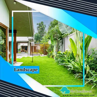 This modern home is surrounded by a vibrant, healthy lawn and bordered by large tropical plants like the Traveller's Palm. The design provides a lush, green view from every window and creates a private, jungle-like feel.