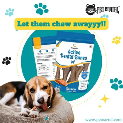 Keep your dog's teeth clean and their tails wagging with our Active Dental Bones. These chews are great for dental hygiene and provide a satisfying, long-lasting snack.