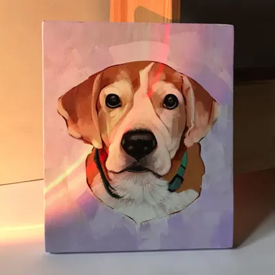 This is an acrylic painting of Bruno, a lovely beagle, captured on a small canvas. I experimented with a more expressive, painterly style here, using bold strokes to define his features against a soft lavender background.
