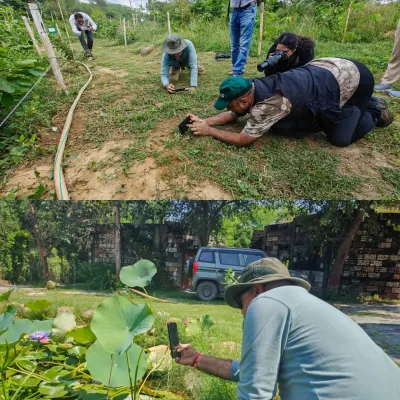 Celebrating Big Butterfly Month at Jaunapur City Forest. Enthusiasts get down on the ground to get the perfect shot, showing the passion that these nature walks ignite.