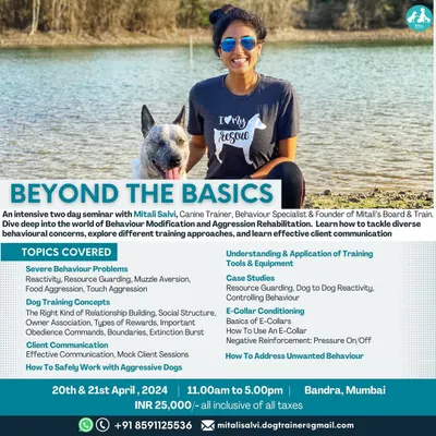 For dog trainers and serious enthusiasts, I offer my "Beyond the Basics" seminar. This intensive, two-day program dives deep into advanced topics like reactivity, resource guarding, E-collar conditioning, and effective client communication. It's about sharing the knowledge I've gained over 13 years in the field.