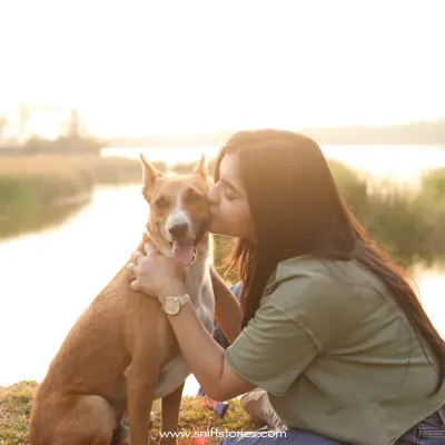 A woman shares a gentle kiss with her rescued indie dog by a lake at sunset, a beautiful portrait of their healing journey together.