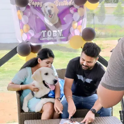 Hugs, kisses, and plenty of birthday wishes for Toby. We set up this cozy spot for his family to celebrate and cut the special dog-friendly birthday cake.