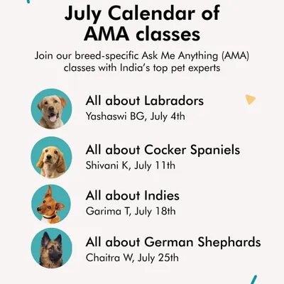Here is our free AMA calendar for July. Join our breed-specific classes on Labradors, Cocker Spaniels, Indies, and German Shepherds with India's top pet experts.