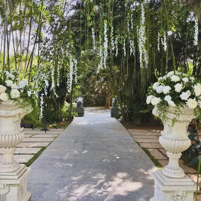 A breathtaking wedding aisle lined with white floral urns and a canopy of hanging white wisteria, creating a path straight out of a fairytale.