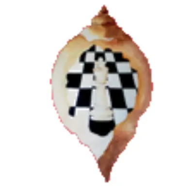The official logo of Panchajanya Chess Academy. It represents my commitment to professional chess coaching and tournament organization.