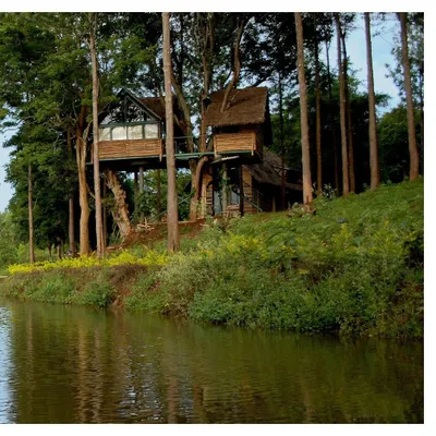 A treehouse at the Gorukana Resort, designed to offer an immersive nature experience. The structure is built around existing trees, demonstrating our commitment to architecture that respects and integrates with its environment.
