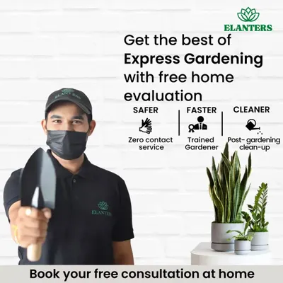 I offer an express gardening service that includes a free home evaluation by a trained gardener. My service is safe, fast, and includes a post-gardening clean-up. Book your free consultation now.