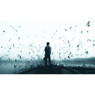 a lone figure on a boat surrounded by birds. i'm drawn to high-contrast, atmospheric scenes that tell a story with a single frame.