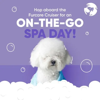 This fluffy white dog is the picture of relaxation after a spa day with the Furcare Cruiser. We bring the pampering to you, so your pet can feel this blissful without ever leaving home.