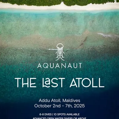Ever traveled below the equator? This October, we're heading to Addu Atoll, the last island in the Maldives, for a special trip full of sharks, mantas, and rays.