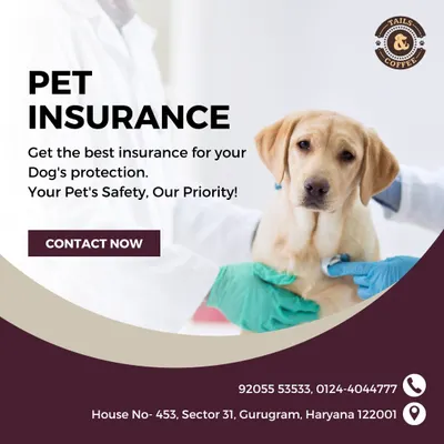 This image represents my promise to you: your pet's safety is my priority. With our pet insurance plans, you can be confident that your dog will receive the best medical attention whenever it's needed.