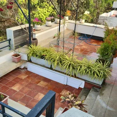 An overhead view of a balcony garden setup in HSR Layout. This angle shows the layout with terracotta tiles, long planter boxes filled with spider plants, and a variety of potted plants along the wall, creating a multi-level green space.