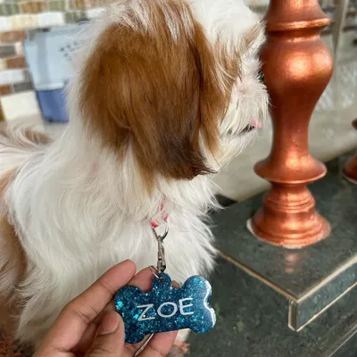 A close-up of Zoe's custom pet tag. It's a bone shape in a sparkly blue glitter with her name in a clean white font.