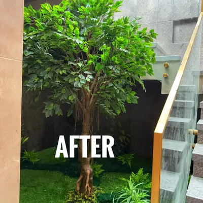 An incredible "After" shot. We transformed this empty, dark stairwell in a Vrindavan residence into a stunning green feature with a lifelike artificial Ficus tree and a bed of faux grass.