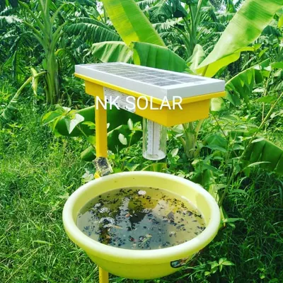 Our Solar Insect Trap shown fully assembled and installed in a banana field. The device is self-sufficient, running entirely on solar power to provide continuous, automated pest control for your farm.