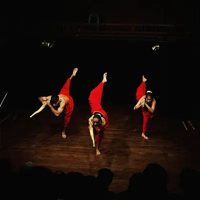 A powerful moment from our Kalaripayattu production "SAMVIT," a performance advocating for fighting the war within and healing through movement.