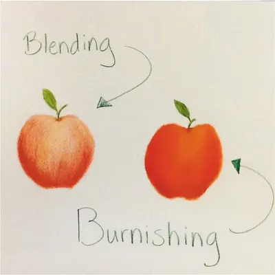 Here is a great example of two key colored pencil techniques: blending and burnishing. Burnishing, which involves applying heavy pressure, grinds the pigment into the paper to create a richer, more vibrant finish, while blending creates a softer transition.