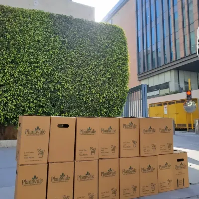 We are equipped to handle large-scale orders. Here you can see a bulk delivery of our branded gift boxes, ready to be distributed at a corporate office, demonstrating our capacity and professionalism.